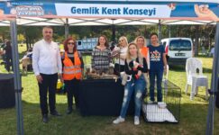 Gemlik Kent Konseyi Sokaktaki Canlar İçin Farkındalık Çalışması Yaptı