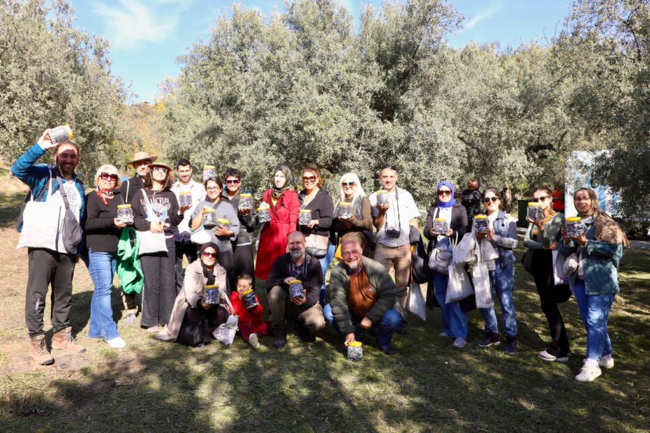 MUDANYA’DA ZEYTİN HASADI SEZONU BAŞLADI