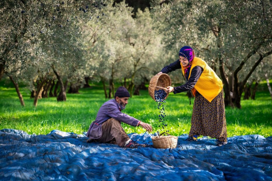 Gemlik’in Güzellikleri 4. Fotoğraf Maratonu’nda Objektiflere Yansıdı