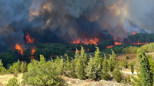  TEMA Vakfı 2025’in Çevre Olaylarını Değerlendirdi