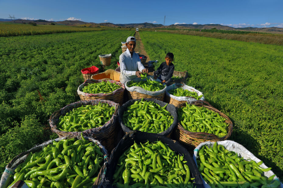 BAŞKAN ERCAN ÖZEL’DEN ÇİFTÇİYE 464 BİN EURO’LUK MÜJDE