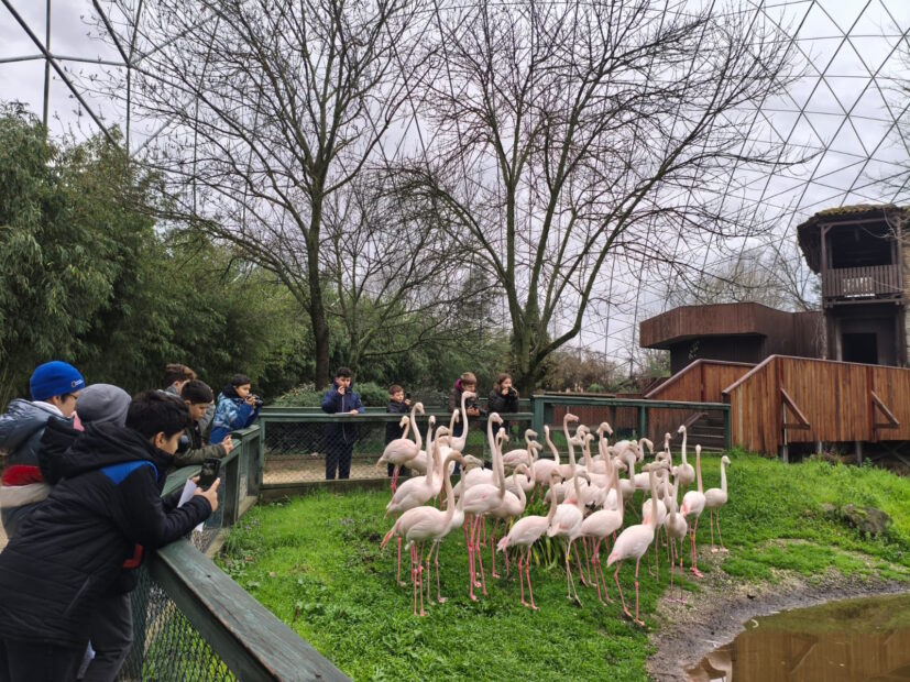 DOĞA DEDEKTİFLERİ İZ PEŞİNDE