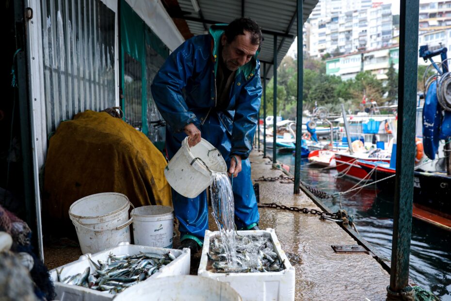 BALIK SİZDEN, MAZOT BİZDEN