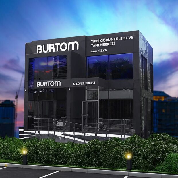 TANIDA YAPAY ZEKA DÖNEMİ