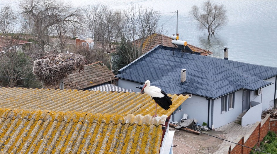 DÜNYANIN TAKİP ETTİĞİ DOSTLUK; YAREN LEYLEK BU YIL DA GELDİ