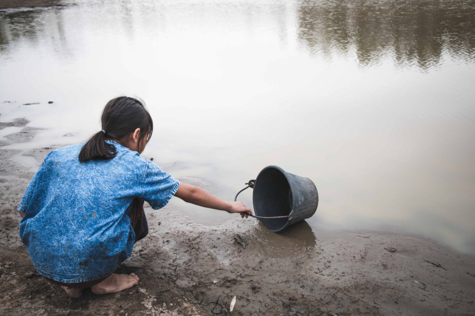Su ve Orman: Doğanın, Refahın ve Eşitliğin Temel Taşları
