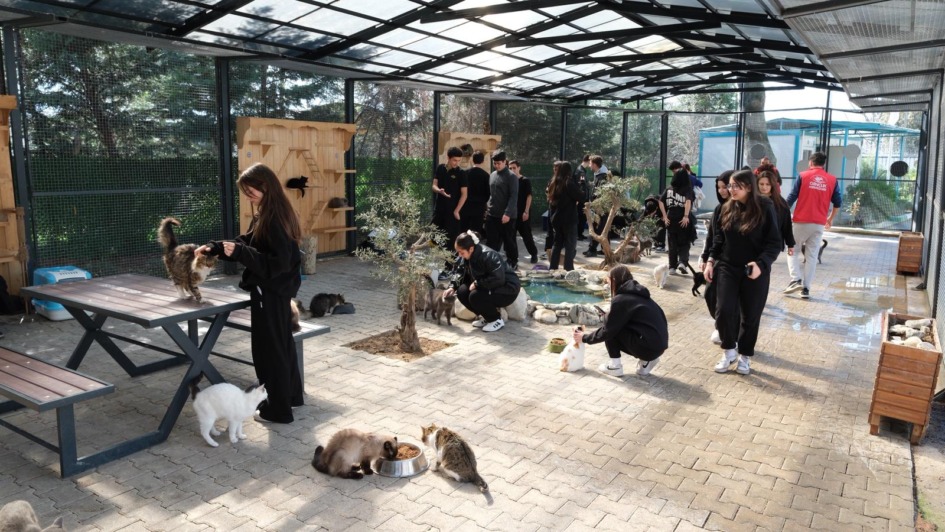 GENÇERLERDEN PATİLİ CANLARA ZİYARET