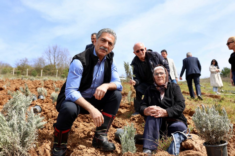 Gemlik Belediyesi Lavanta Bahçesi Kuruyor