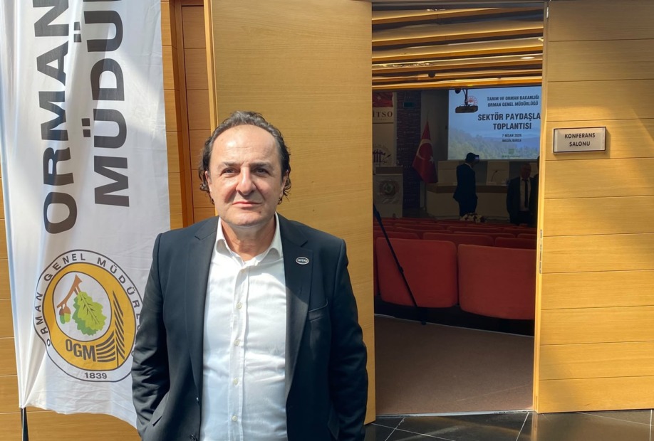 Türkiye-Azerbaycan ilişkilerine dijital diplomasi modeli